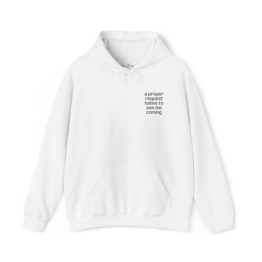 "a prayer request hates to see me coming," Hooded Sweatshirt