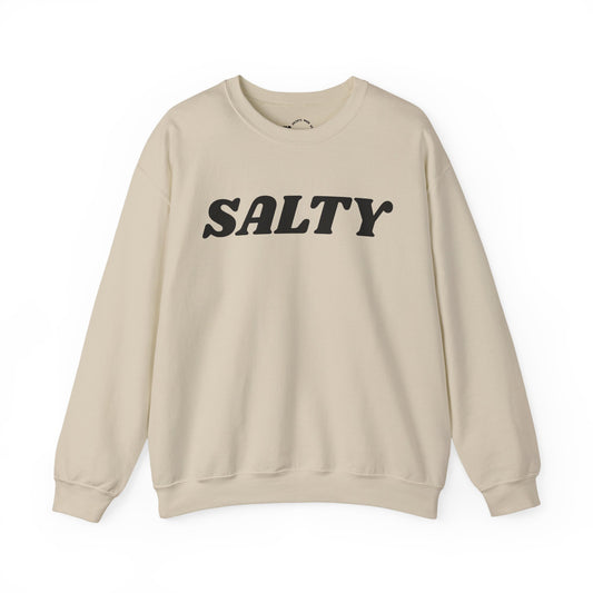 Salty text sweatshirt | 'You are the salt of the earth' Matthew 5:13 back