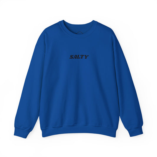 Salty Sweatshirt | 'You are the salt of the earth' Matthew 5:13 (back)